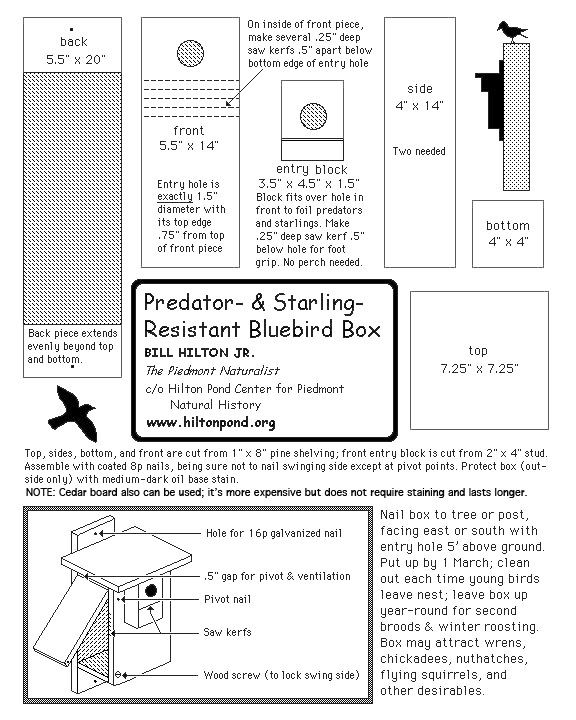 Bluebird House Dimensions