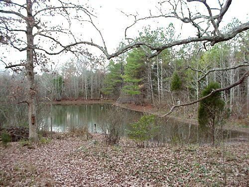 Hilton Pond, late fall 2001