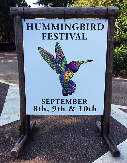 Hummingbirds In Mississippi . . . And At Home