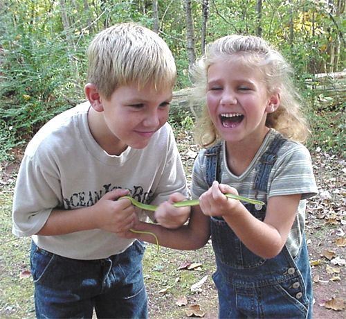 Rough Green snake