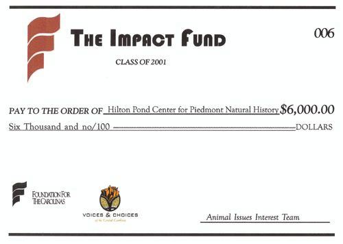 Grant check from The Impact Fund
