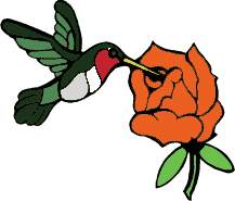 Drawing: Hummingbird & Flower