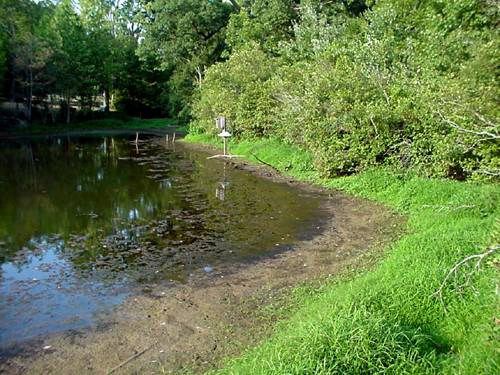 Drought at Hilton Pond