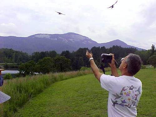 Bander being dive-bombed by Tree Swallows